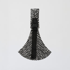 Zebra <br>Cub